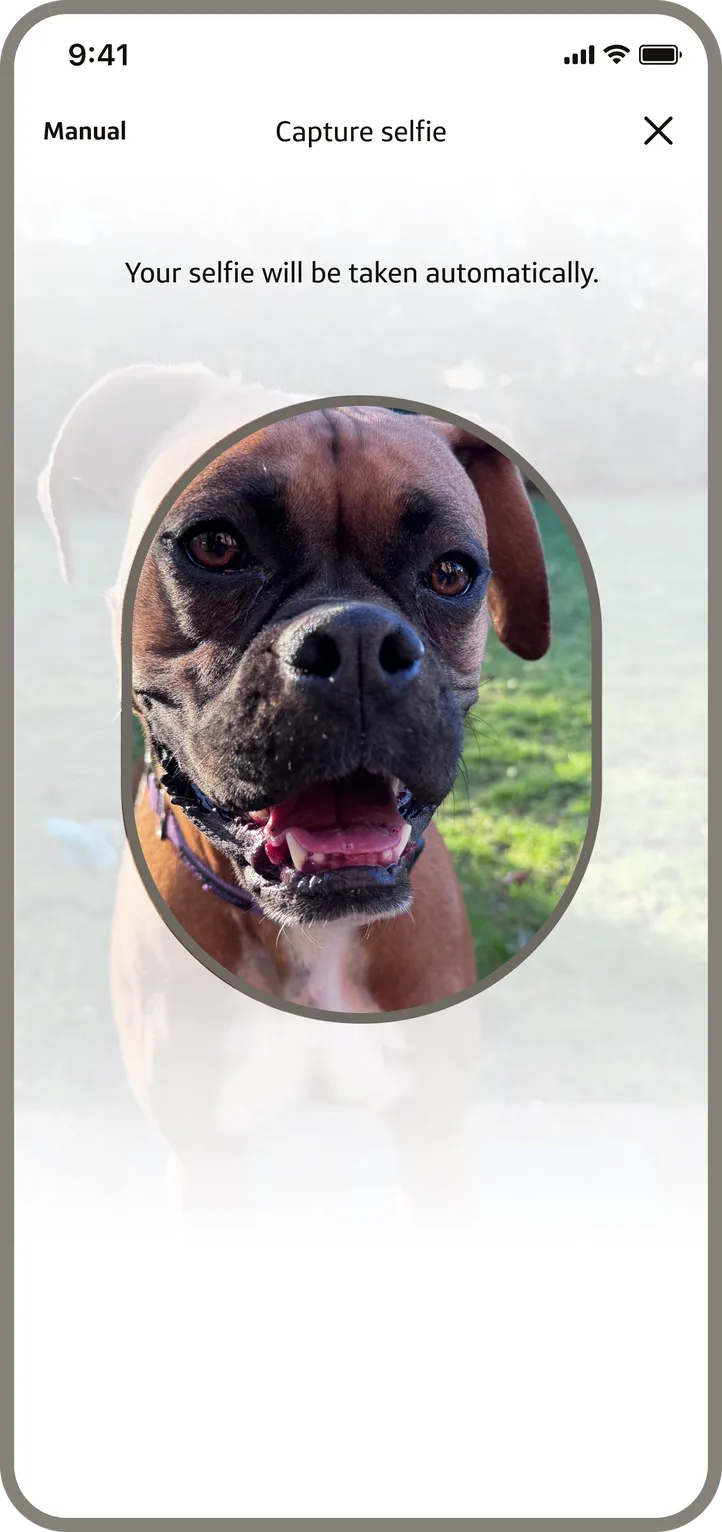 Capture screen in its resting state. A grey oval frames the face; the instruction reads "Your selfie will be taken automatically."